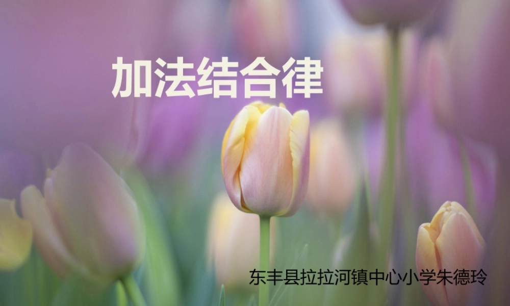 人教2011版小学数学四年级加法结合律