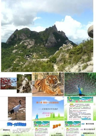 策划一次出游活动--课件