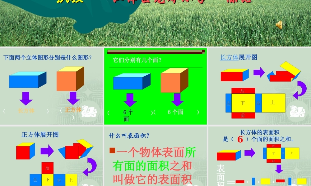 长方体与正方体的表面积
