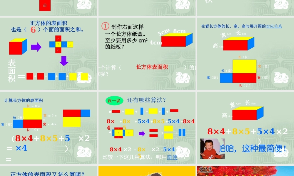 长方体与正方体的表面积