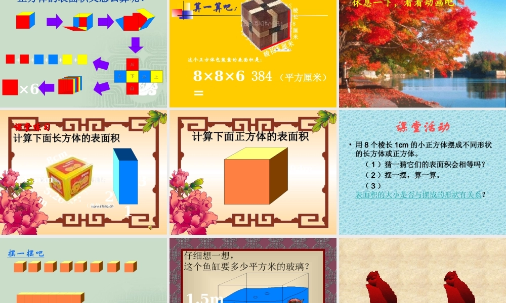 长方体与正方体的表面积