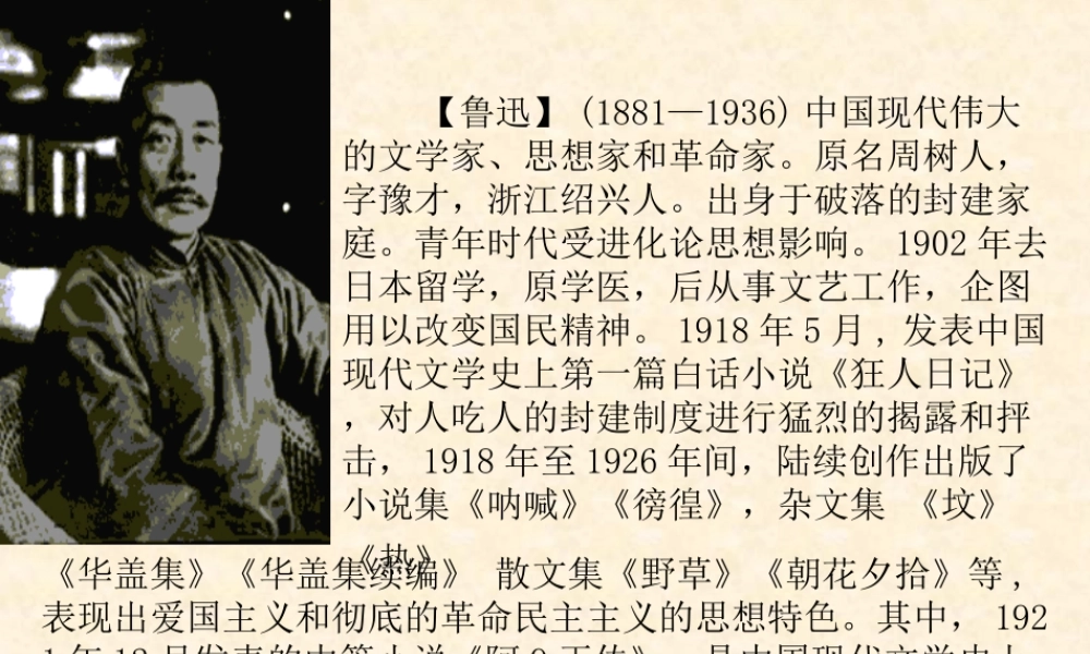 高中语文祝福课件1 苏教版 必修2 课件