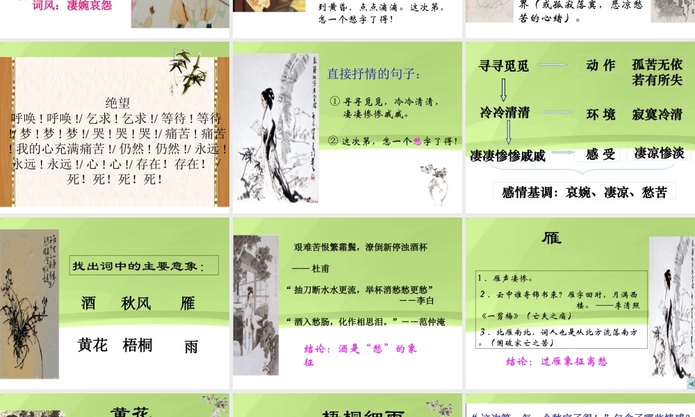 高中语文 4-17(宋词四首-声声慢)课件1 粤教版必修3 课件