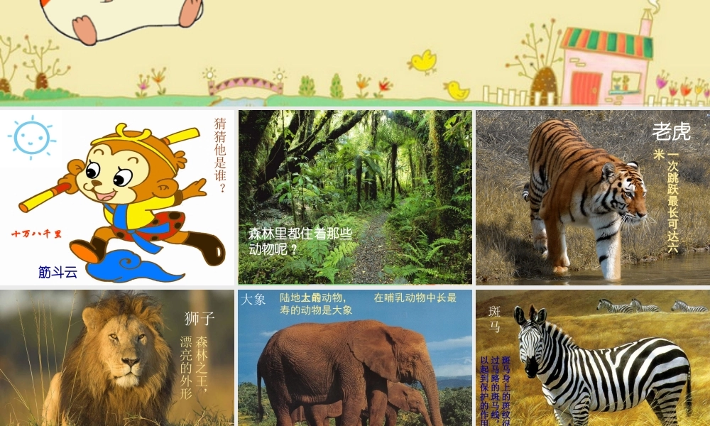 《变幻的画面》课件