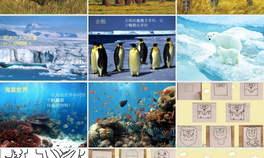 《变幻的画面》课件