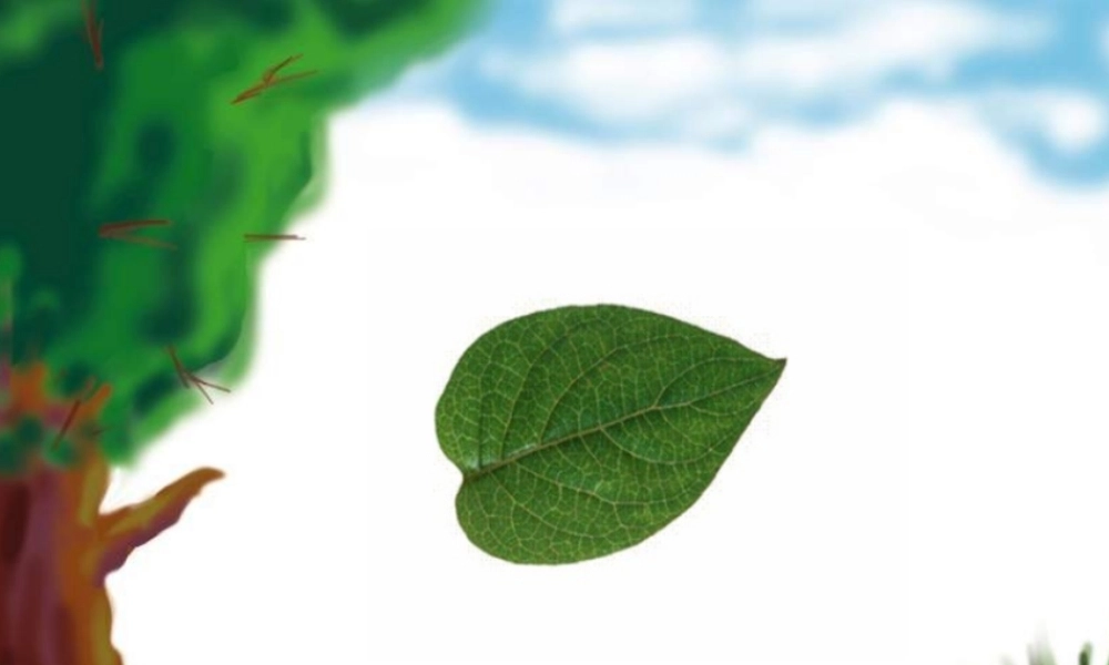 人教2011版小学数学三年级资料小蚂蚁爬树图