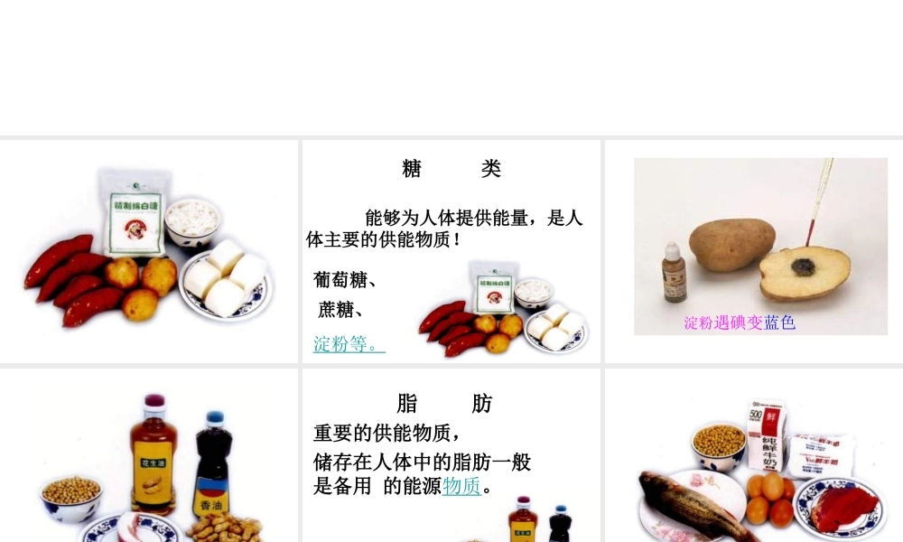 第一节食物中的营养