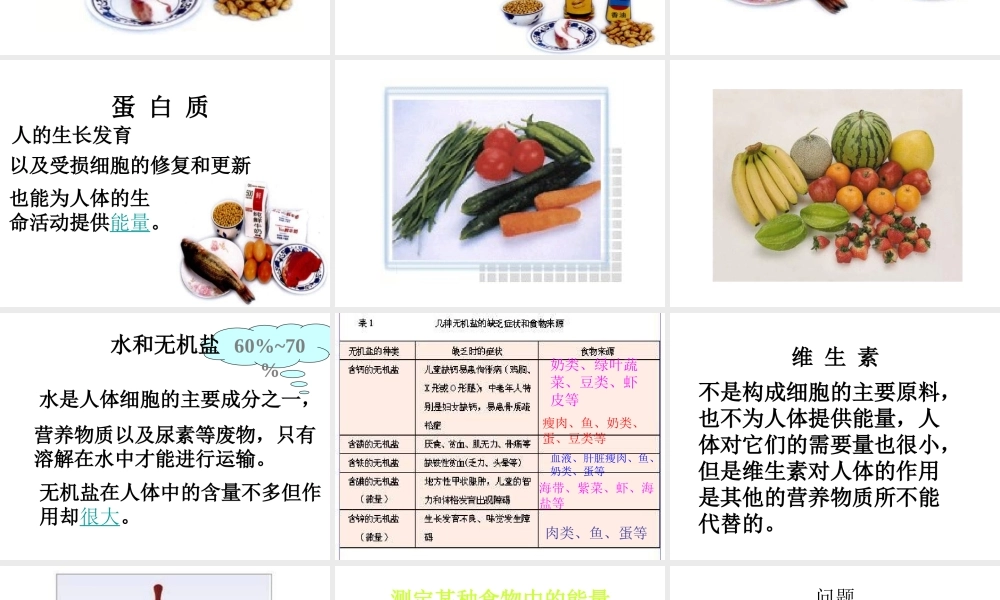 第一节食物中的营养