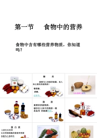第一节食物中的营养