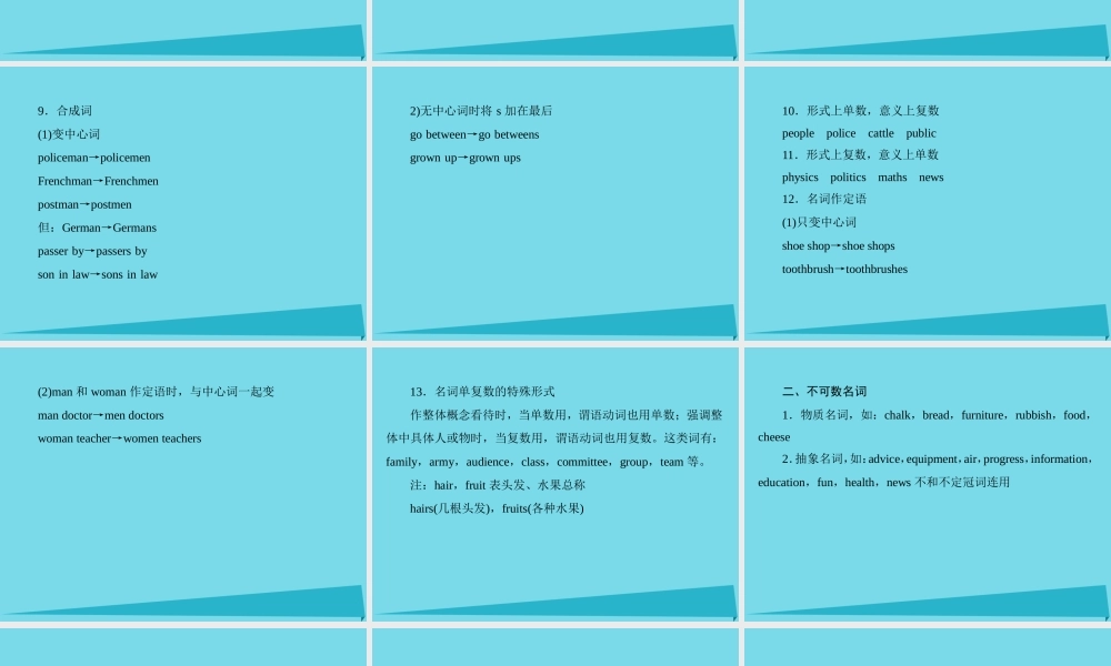 讲练测高考英语一轮复习 语法专题训练部分 专题1 名词课件 外研版 课件