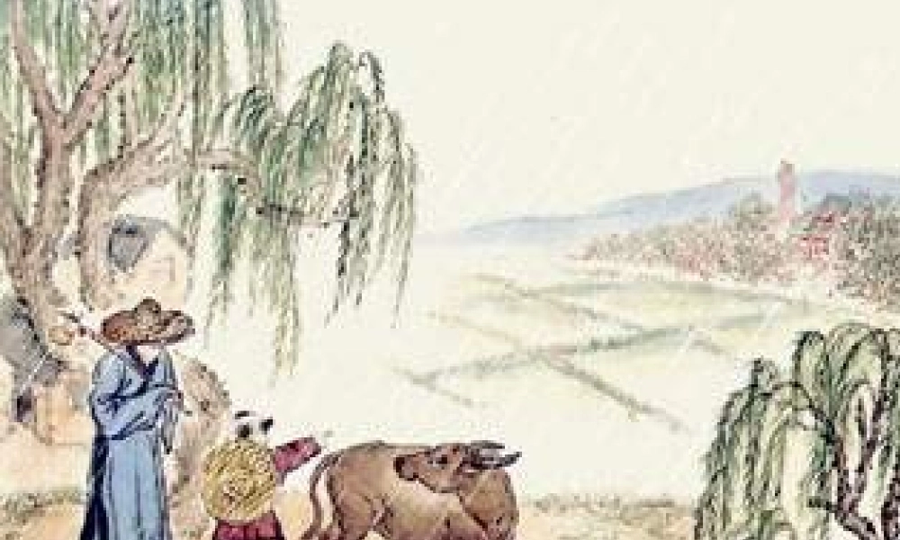 浙江地区语文学科七年级上学期第三单元第十五课(古诗五首)课件资料 人教版 课件