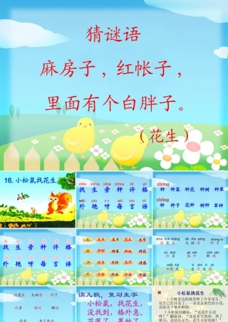 《小松鼠找花生》