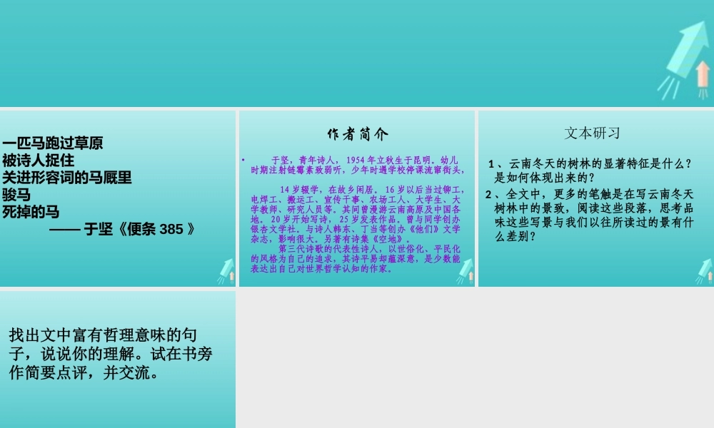 高中语文4云南冬天的树林课件苏教版选修现代散文蚜 课件
