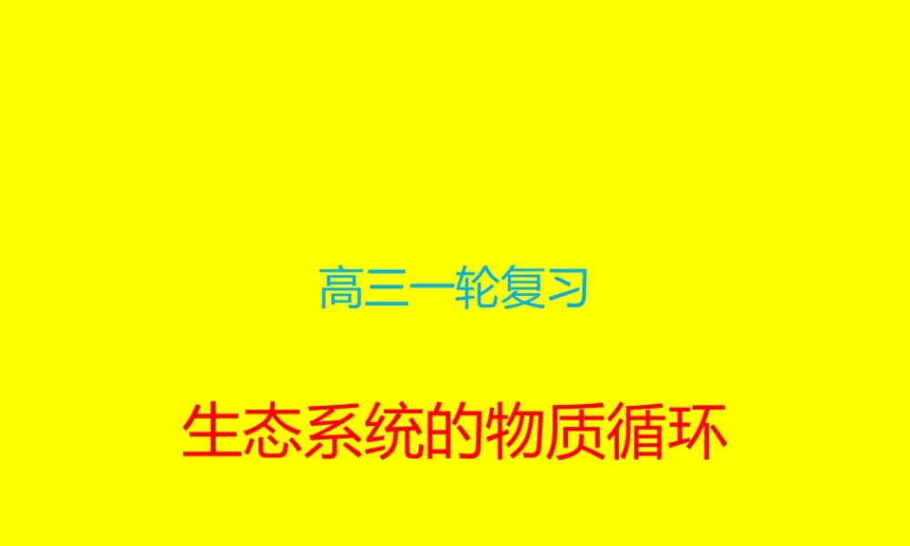 三生态系统中的物质循环