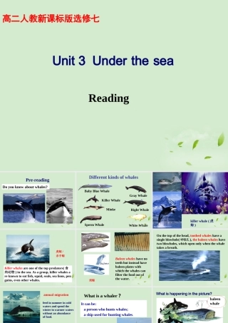 高中英语(unit3 Reading)教学课件 新人教版选修7 课件