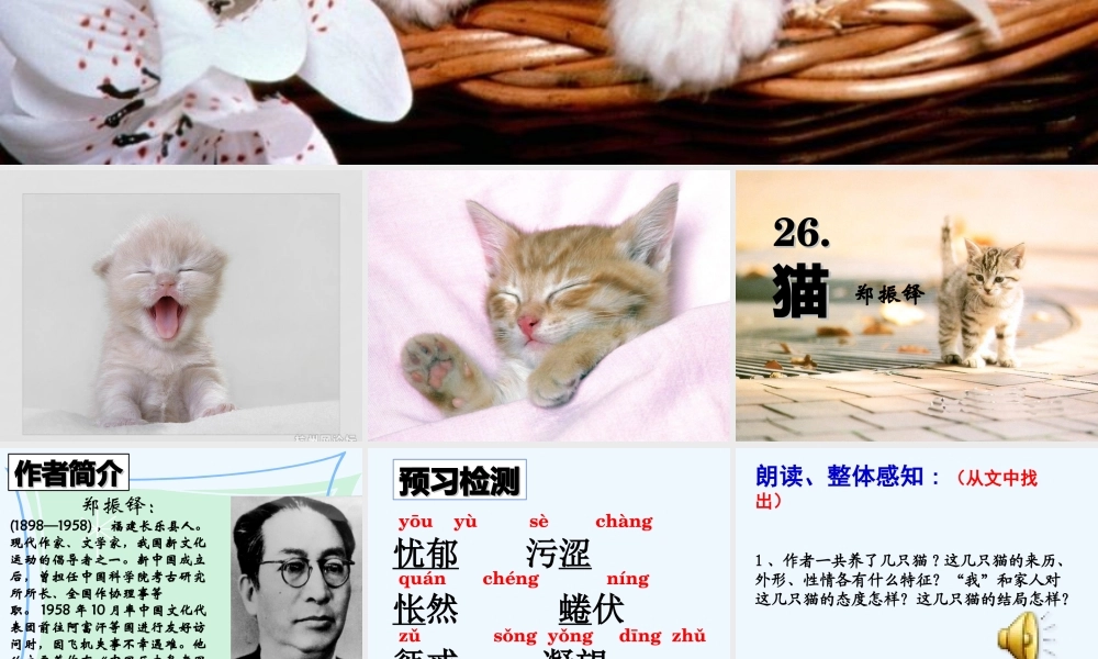 (部编)初中语文人教2011课标版七年级上册猫--郑振铎