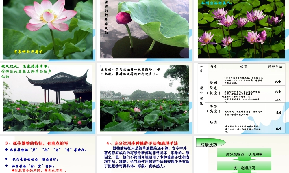 高中语文(亲近自然——写景要抓住特征)课件 新人教版必修2 课件