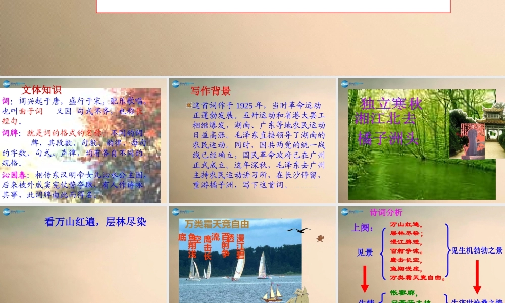 高中语文 第1课 沁园春 长沙课件 新人教版必修1 课件