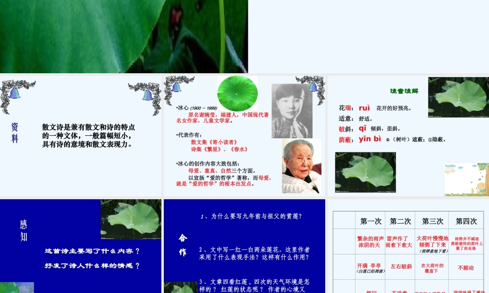 (部编)初中语文人教2011课标版七年级上册荷叶母亲-(10)