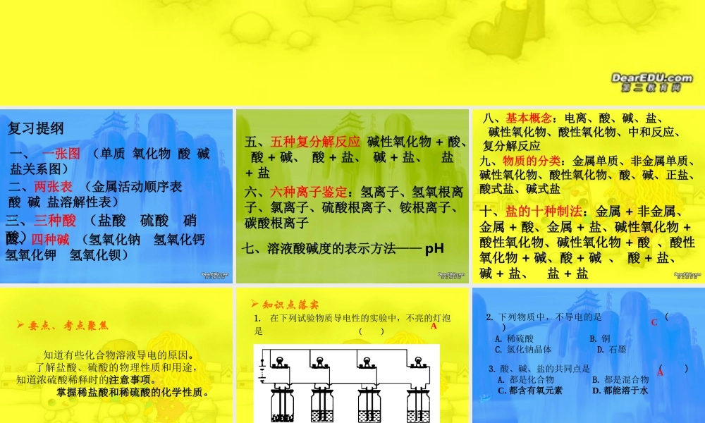 浙教版初三化学复习课件 酸碱盐 课件