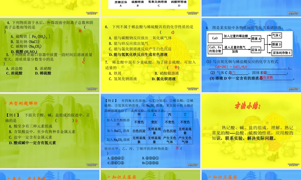 浙教版初三化学复习课件 酸碱盐 课件