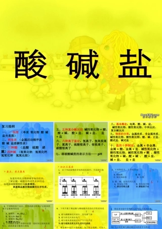 浙教版初三化学复习课件 酸碱盐 课件