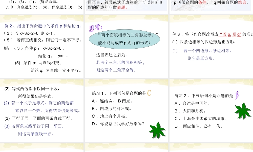 高中数学 定义与命题课件三 新人教A版选修1-1 课件