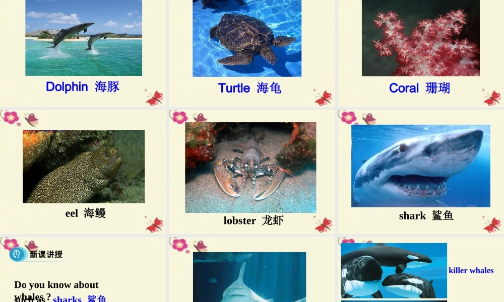 英语 Unit 3 Under the sea Period 1 Reading课件 新人教版选修7 课件