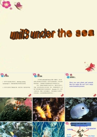 英语 Unit 3 Under the sea Period 1 Reading课件 新人教版选修7 课件