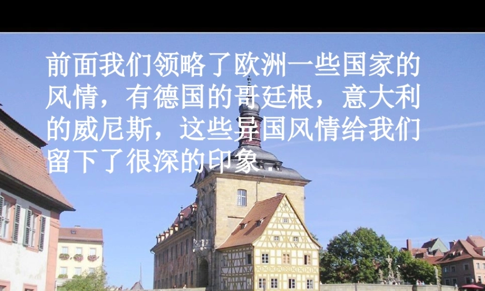 -27《与象共舞》课件111