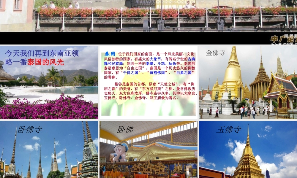 -27《与象共舞》课件111