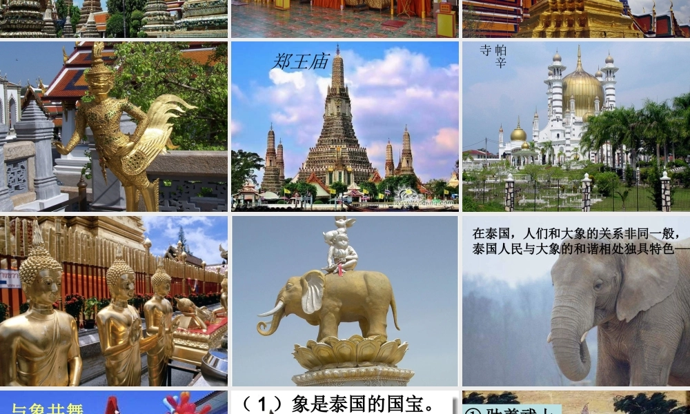 -27《与象共舞》课件111