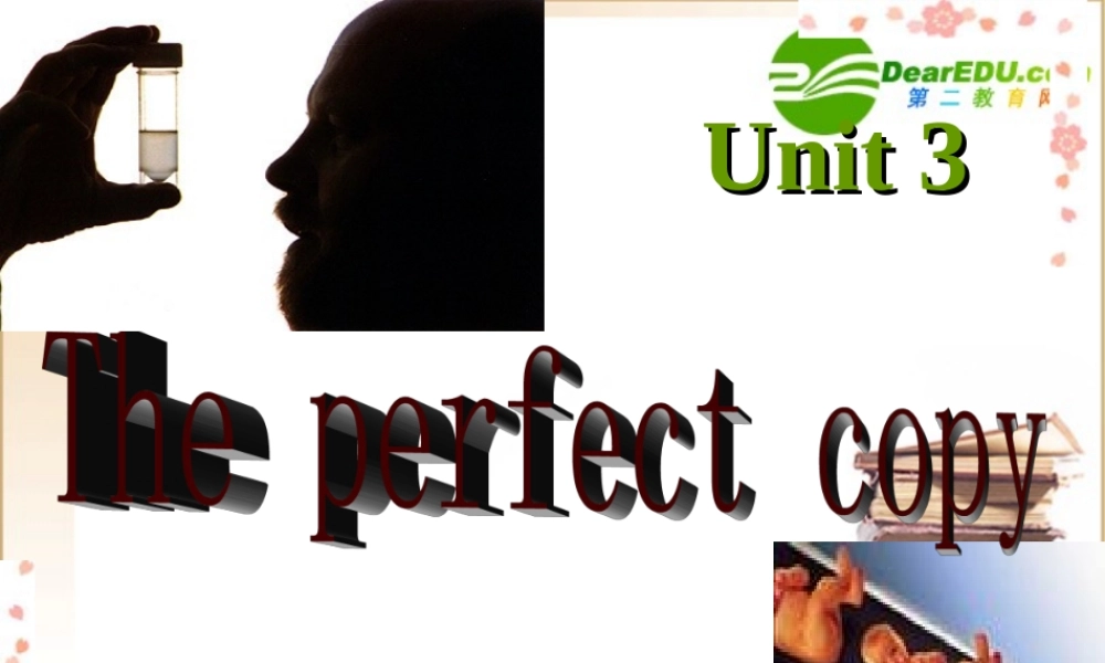 高中英语the perfect copy课件牛津版必修5 课件