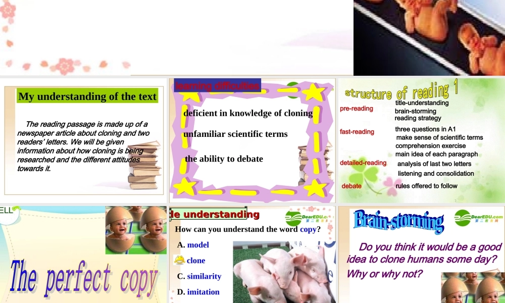 高中英语the perfect copy课件牛津版必修5 课件