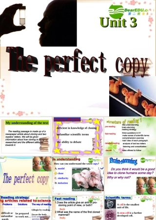高中英语the perfect copy课件牛津版必修5 课件