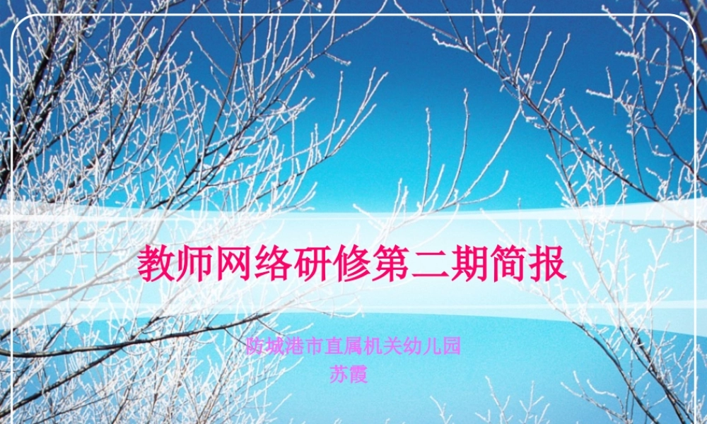 教师网络研修第二期简报