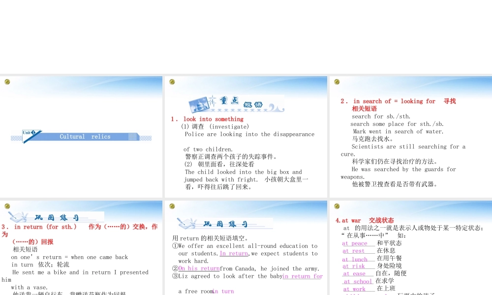 高考英语一轮总复习 Unit1 Cultural relics课件 新人教版必修2 课件