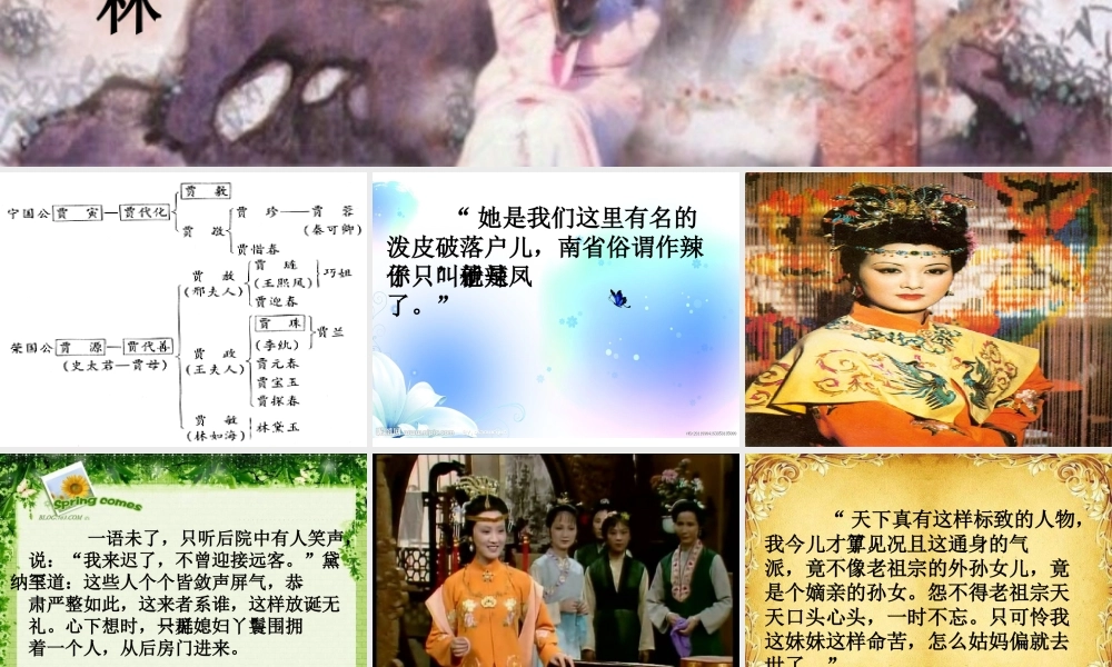 凤辣子初见林黛玉PPT
