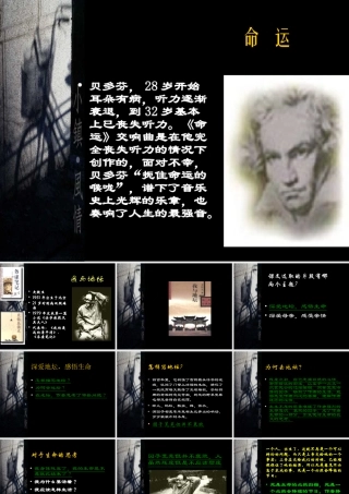 高中语文我与地坛课件