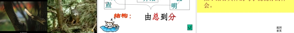初中语文田格艳PPT课件《松鼠》