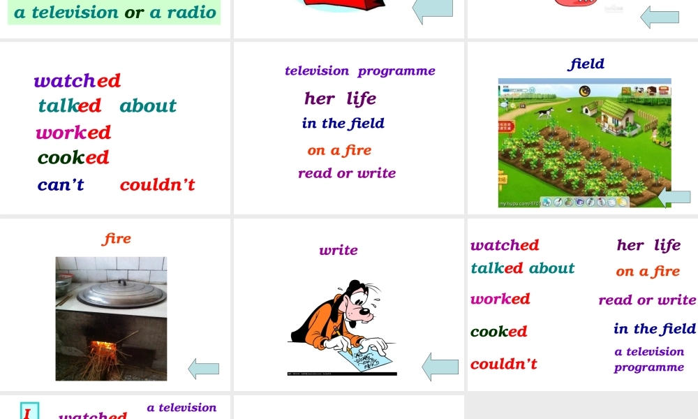 shedidn'thaveatelevision