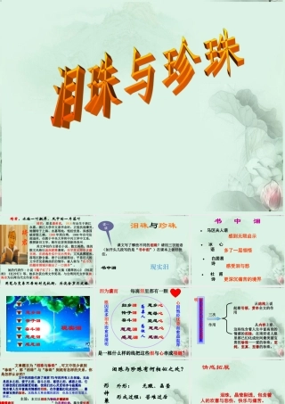 陕西省汉中市陕飞二中高三语文复习资料 泪珠与珍珠课件 新人教版 课件