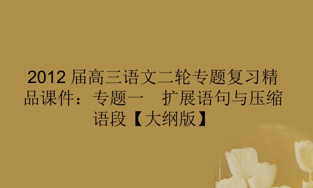 高三语文二轮专题复习 专题一 扩展语句与压缩语段精品课件 大纲人教版 课件