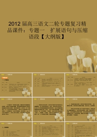 高三语文二轮专题复习 专题一 扩展语句与压缩语段精品课件 大纲人教版 课件