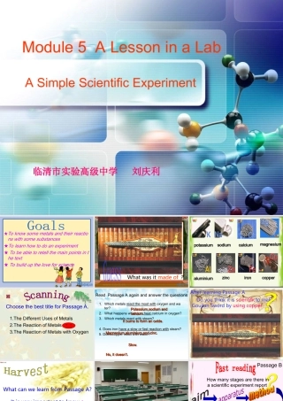 高中英语 Module5 reading课件外研版必修1 课件