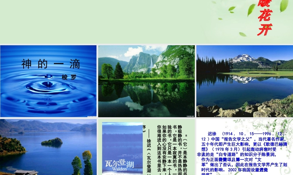 高中语文 (神的一滴)课件1 苏教版必修1 课件