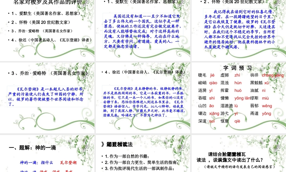 高中语文 (神的一滴)课件1 苏教版必修1 课件