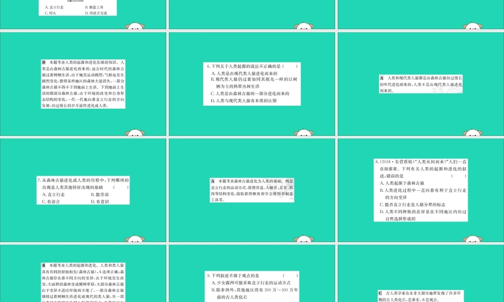 版七年级生物下册 第四单元 生物圈中的人 第一章 人的由来 1 人类的起源和发展训练课件 新人教版 课件