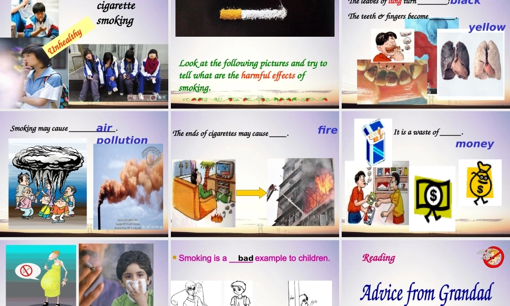 高中英语 Book6-unit3-lym课件 新人教版选修6 课件