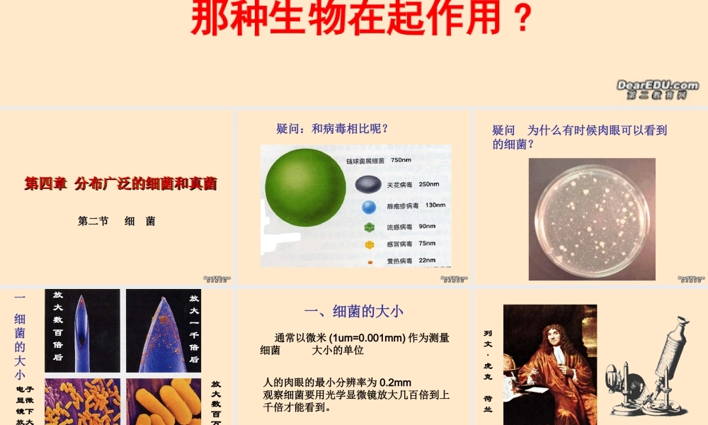细菌八年级生物第五单元第四章第二节课件示例 课件